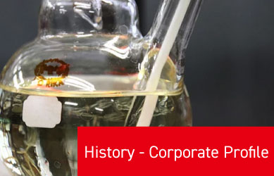 History - Corporate Profile
